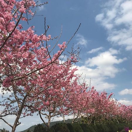 溪頭吉野民宿ji-Ye 鹿谷郷 エクステリア 写真