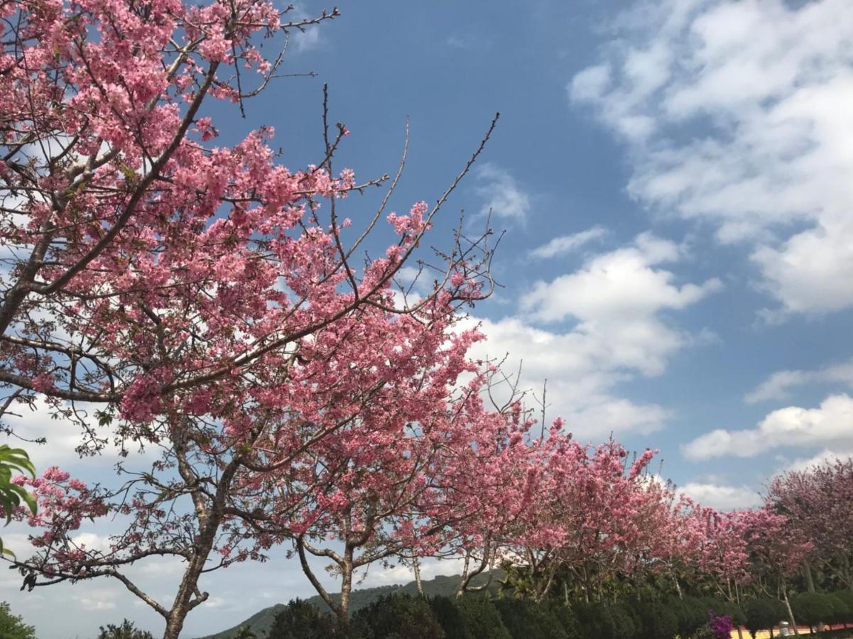 溪頭吉野民宿ji-Ye 鹿谷郷 エクステリア 写真